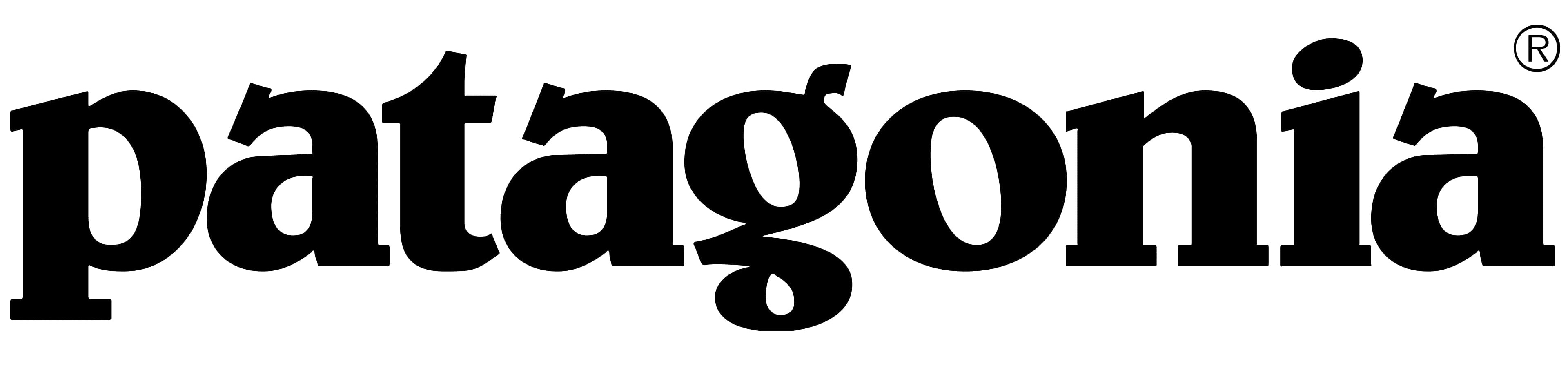 logo og Patagonia